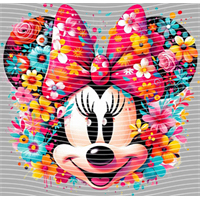 Mickey-AMQ 2068